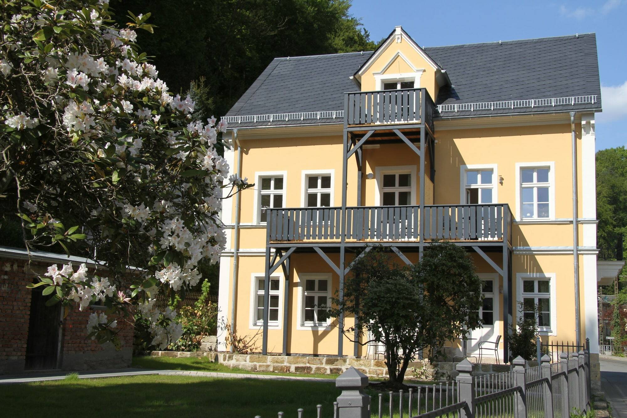 Villa Elise Bad Schandau Exterior foto